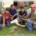 shvf_eleyaada_04