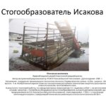 Стогообразователь Исакова